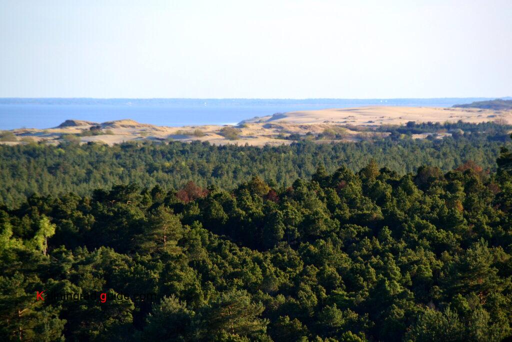 Вид с высоты Мюллера, Куршская коса