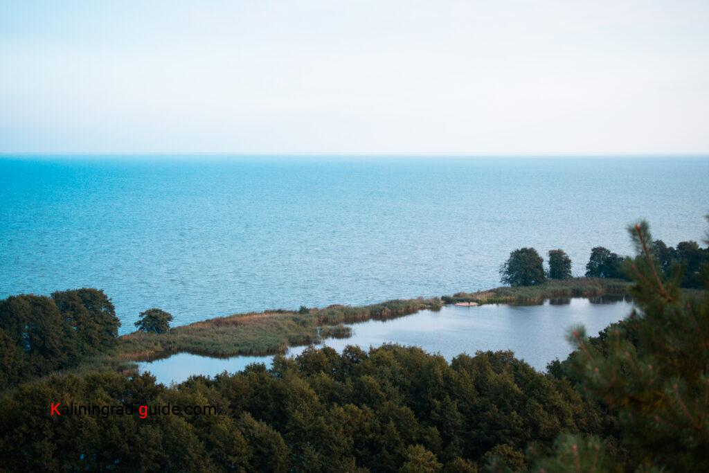 Озеро Лебедь, Куршская коса