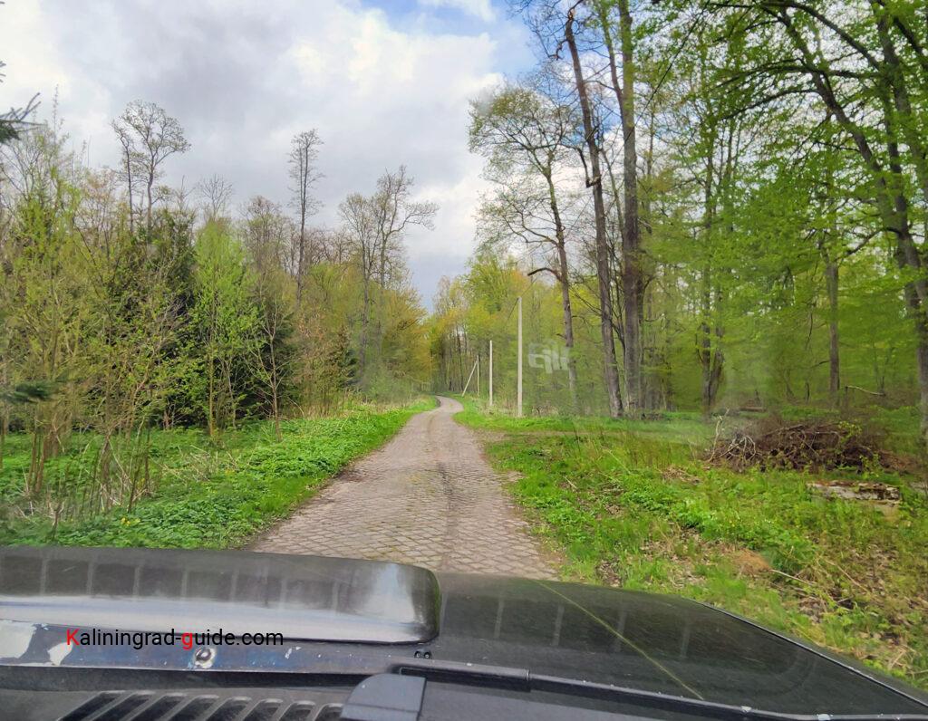 Авторская экскурсия Калининград